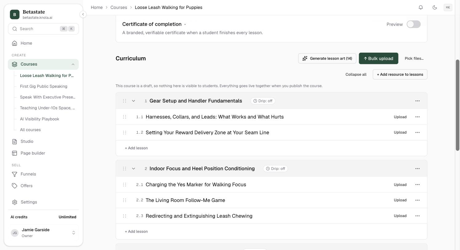 The Curriculum on a course page: modules with their lessons numbered 1.1, 1.2, drip pills on each module, + Add lesson under each module, and Generate lesson art, Bulk upload and Pick files at the top