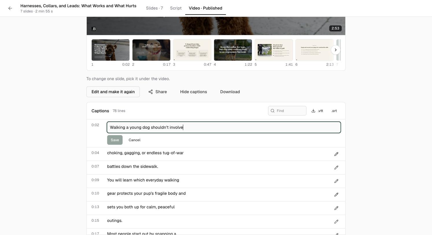 A caption line open for editing, with the text in a box and Save and Cancel buttons underneath